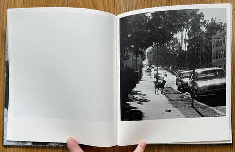 Scapes - Setanta Books