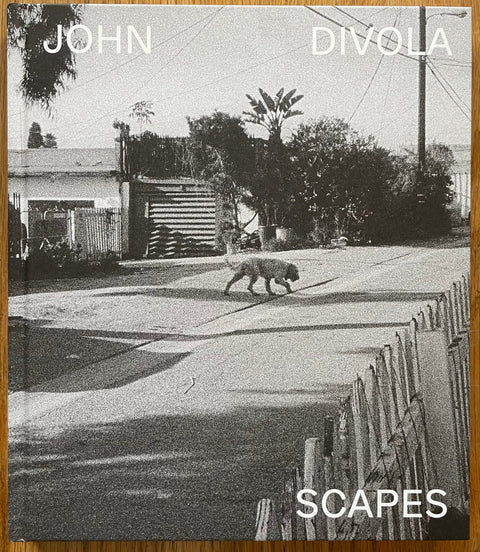 Scapes - Setanta Books