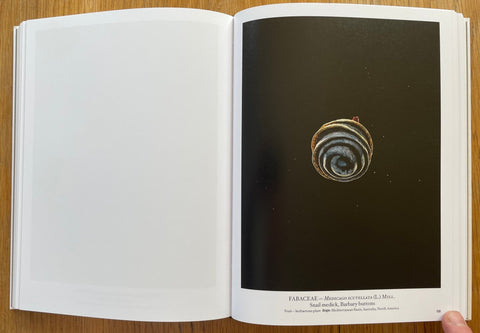 Seed Stories - Setanta Books