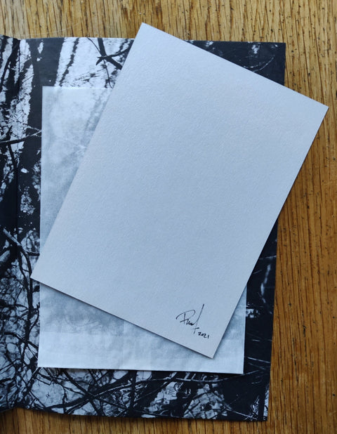 Self Portraits & Other Scenes - Setanta Books