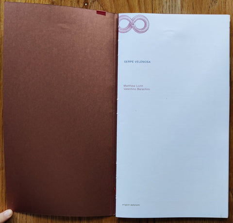 SERPE VELENOSA - Setanta Books