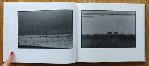 Shikawatari - Setanta Books