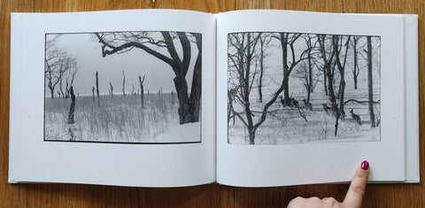 Shikawatari - Setanta Books