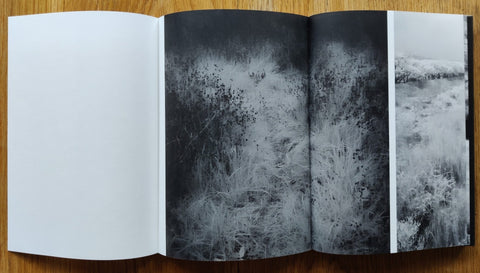 Somewhere Not Here - Setanta Books