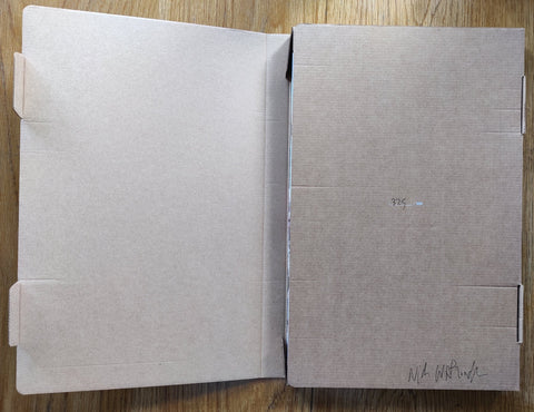 Sommat/You Should Be With Us: LA 1995 - 1996/Horn Again - Setanta Books