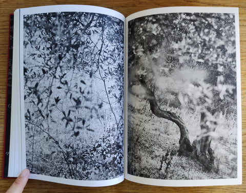 Sonata - Setanta Books