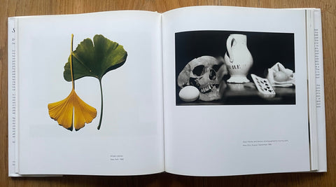 Still Life - Setanta Books