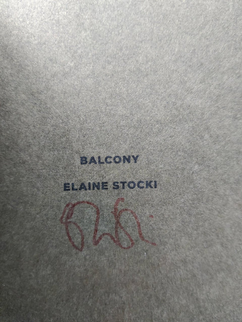 Subscription Series No.3 - Mark Steinmetz, Elaine Stocki, Dru Donovan, Katy Grannan - Setanta Books