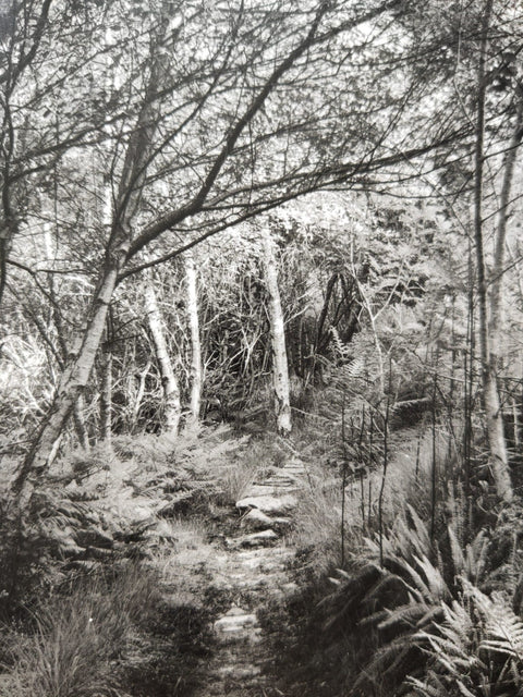 Tanera (Ar Duthaich)