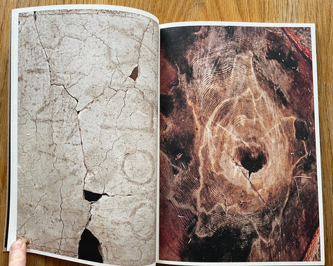 The Dark Wood - Setanta Books