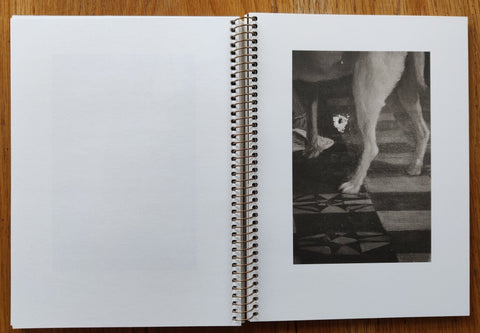 The Escape Velocity - Setanta Books