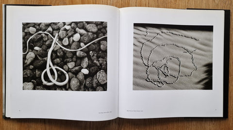 The Form Of The Nude - Setanta Books