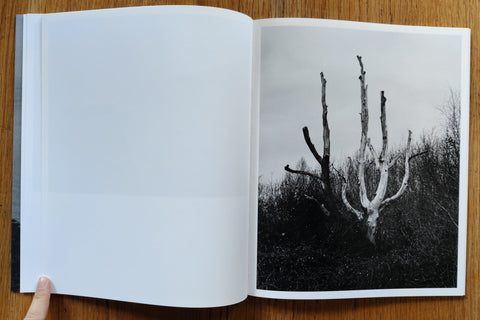 The Island - Setanta Books