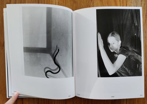 The Model Family - Setanta Books