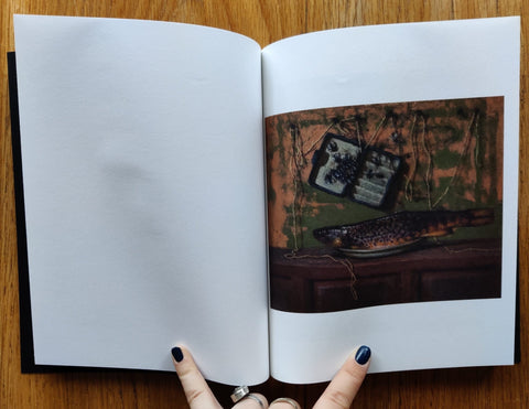 The Stick - Setanta Books
