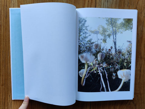 The things of the world are true / Somersault (Special Edition) - Setanta Books