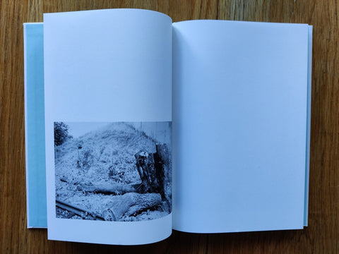 The things of the world are true / Somersault (Special Edition) - Setanta Books