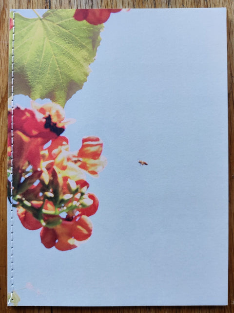 The things of the world are true / Somersault (Special Edition) - Setanta Books