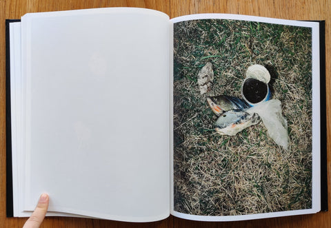 The Unknown - Setanta Books