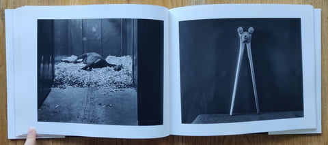Theatrum Equorum - Setanta Books