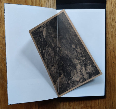 This Is How The Earth Must See Itself: A walk with natural features - Setanta Books