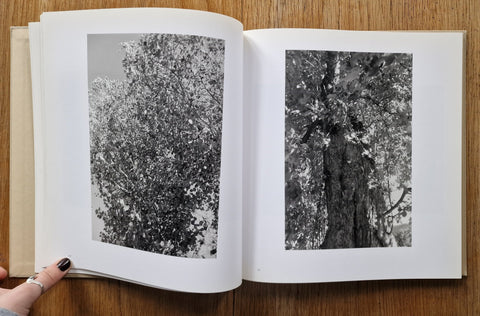 Tree Line: The Hasselblad Award 2009 - Setanta Books
