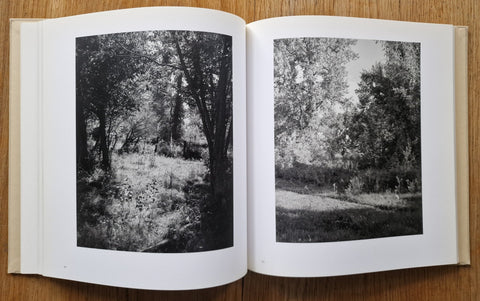 Tree Line: The Hasselblad Award 2009 - Setanta Books