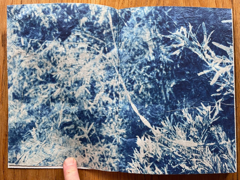 Trees, Water and Light - Setanta Books
