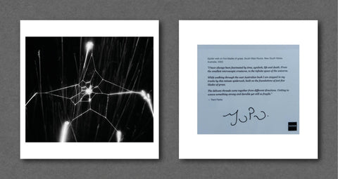 Trent Parke Magnum Square Prints