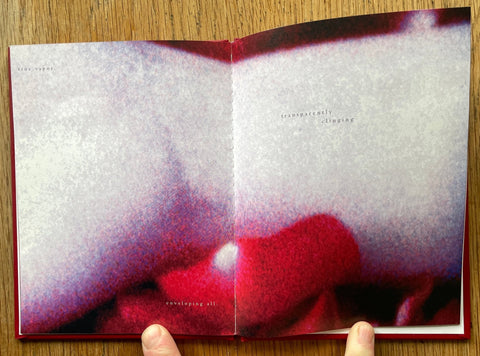 True (One Picture Book) - Setanta Books