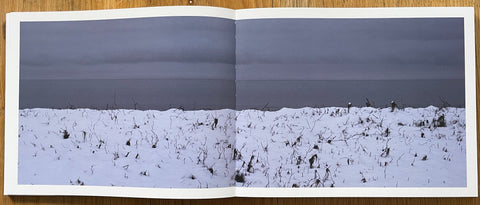 Waves - Setanta Books