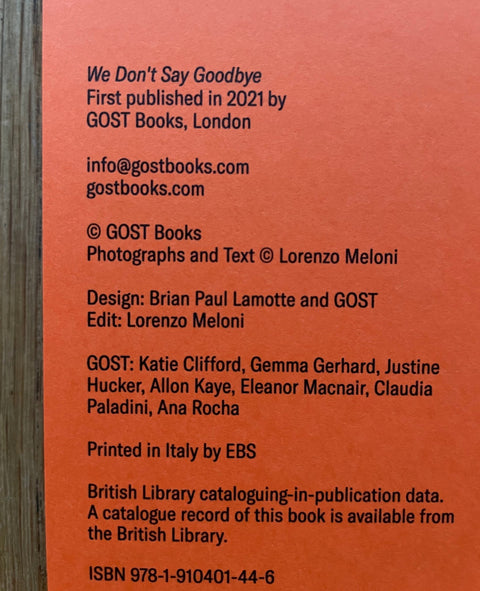 We Don't Say Goodbye - Setanta Books