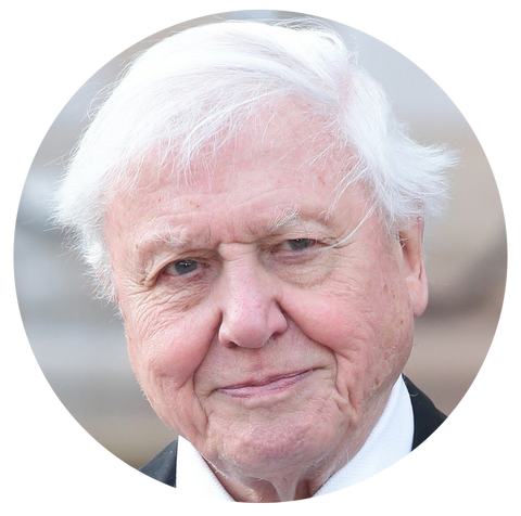 David Attenborough