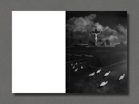 017 - Joakim Möller - Setanta Books