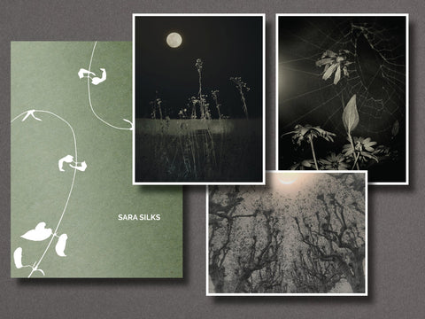 023 - Sara Silks - Setanta Books