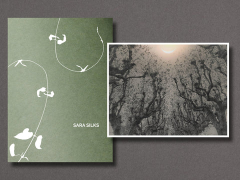 023 - Sara Silks - Setanta Books