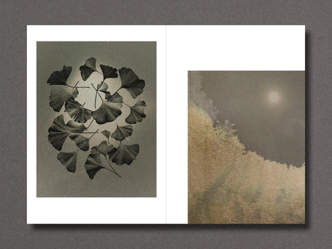 023 - Sara Silks - Setanta Books