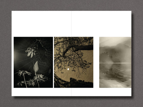 023 - Sara Silks - Setanta Books