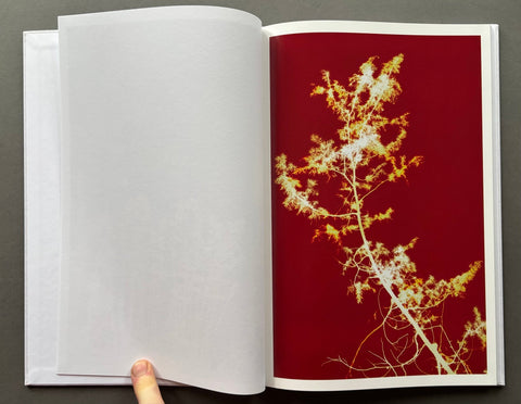 1:1 Hammarkullen - Setanta Books