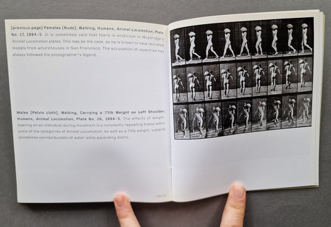 Five Pioneers of Photography: Mathew Brady, Martin Chambi, Fadweard Muybridge, Daido Moriyama, James Van Der Zee (Phaidon 55's Series)