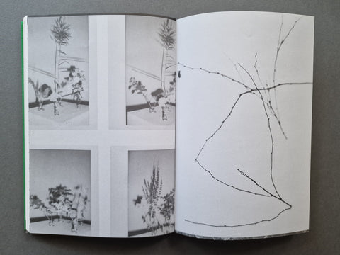 Index Naturae Revisited - AAVV