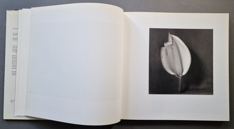 Inner Light: Still Lifes and Nudes