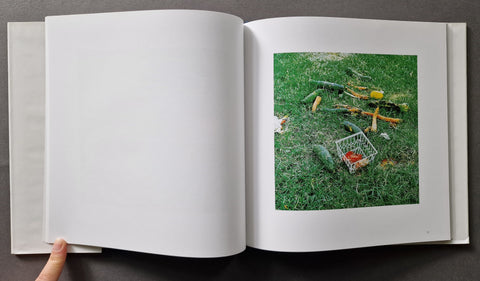 Sons of Adam: Landscapes for the Homeless II