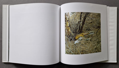 Sons of Adam: Landscapes for the Homeless II
