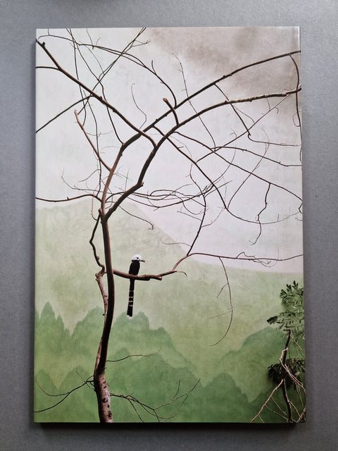 Aves Mei (Special slipcased edition with print)
