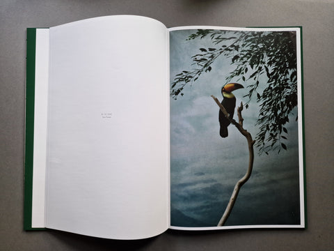 Aves Mei (Special slipcased edition with print)