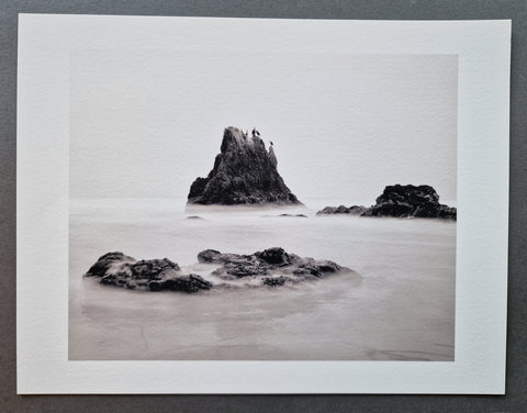 Our Ocean's Edge (Special slipcased edition with print)