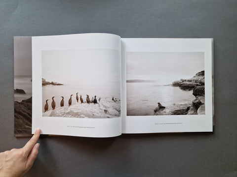 Our Ocean's Edge (Special slipcased edition with print)