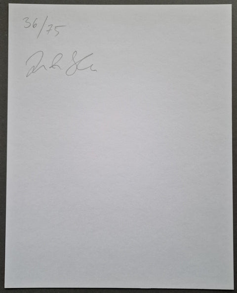 James' House (Greenlandic/English Edition)