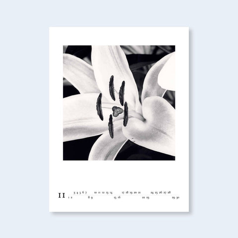 2025 Michael Kenna Calendar - Setanta Books